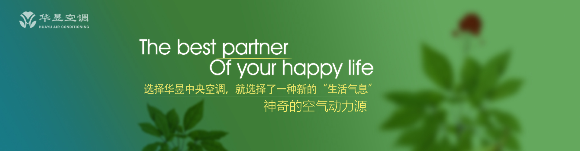 落汤螃蟹网